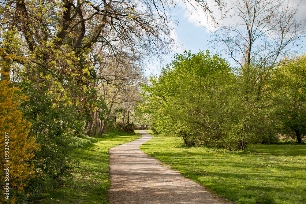 Park mit Wanderweg oder Radwegim Frühling bei sonnigem Wetter