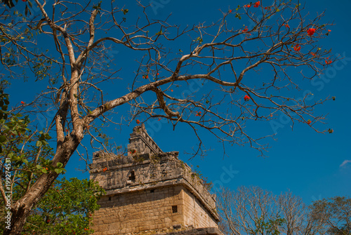 Ancient Mayan city. Destroyed buildings and pyramids in the forest. Chichen-Itza, Mexico. Yucatan photo