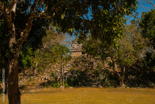 Ancient Mayan city. Destroyed buildings and pyramids in the forest. Chichen-Itza, Mexico. Yucatan photo