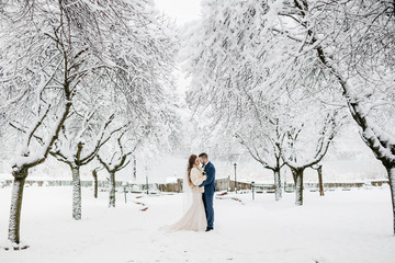 Beautiful wedding couple on their winter wedding