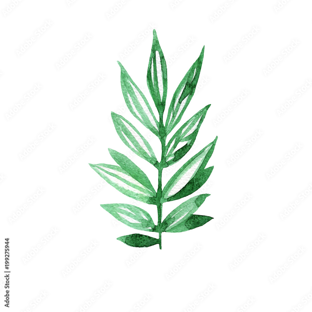 Abstract leaves watercolor as design elements isolated on white background. Herbal hand drawn illustration. Green sketch watercolor. Abstract leaves watercolor as design elements isolated on white background. Herbal hand drawn illustration. Green sketch watercolor.