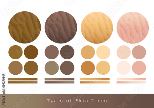 Types of Skin Tones color and texture vector illustration.