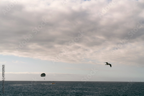 Black parachute and seagull in the sky above the ocean. Dramatic clouds in the sky