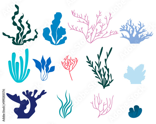 Set of elements of seaweed and coral isolated on white background. Flat design. Vector illustration