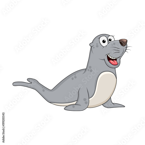 Cartoon seal animal isolated on white background
