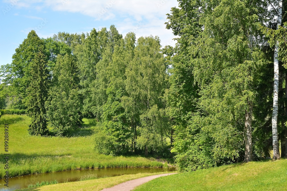 River in the Park in Pavlovsk