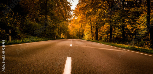 Obraz na płótnie Herbstraße w salonie
