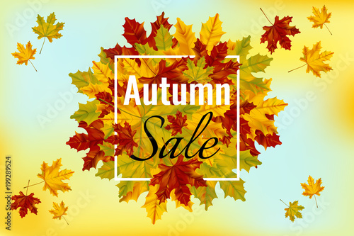 Autumn sale banner template with colorful maple leaves. Shopping discount promotion.