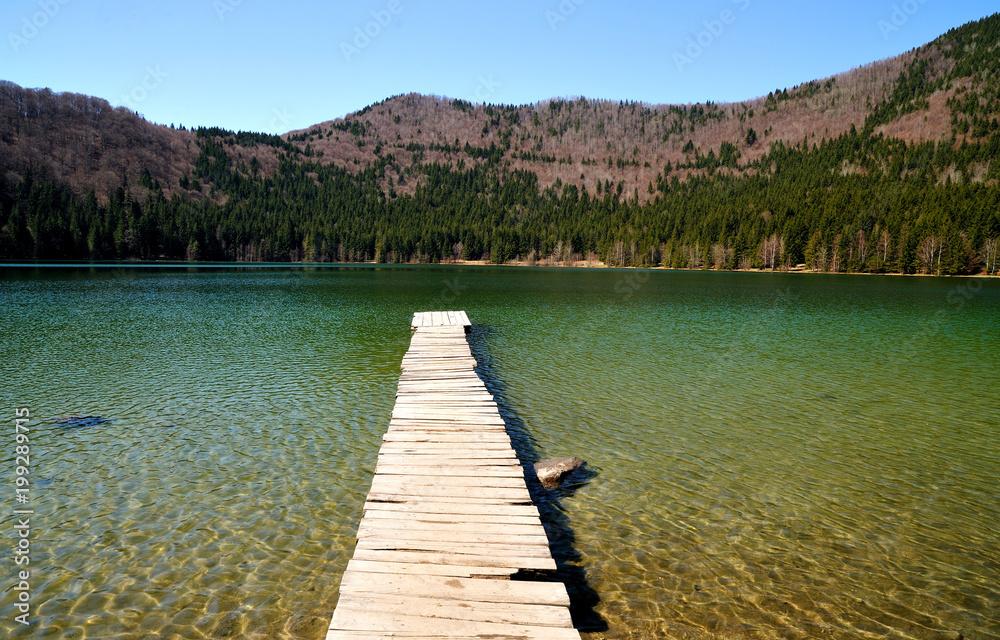 Saint Ana volcanic lake from Romania. Wooden dick on the Saint Ana volcanic lake.