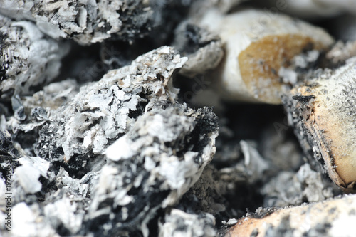 Cigarette ashes. Closeup details of cigarette ashes in the ashtray. © Lazarescu