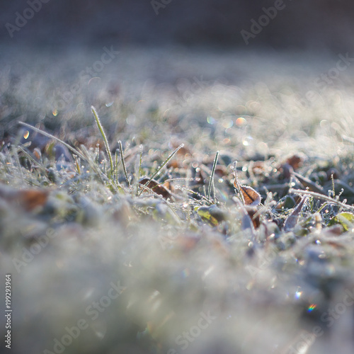 frostige Wiese mit Bokeh