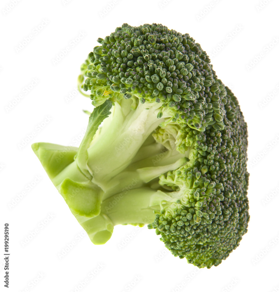 broccoli isolated on white background broccoli isolated on white background