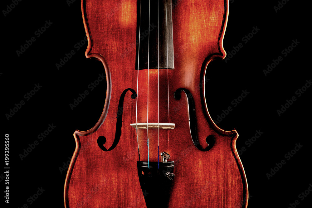 Fototapeta Photo of a violin on a black background
