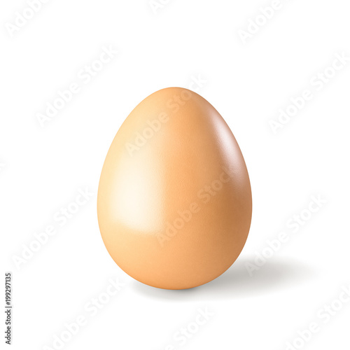 Chicken hen egg isolated