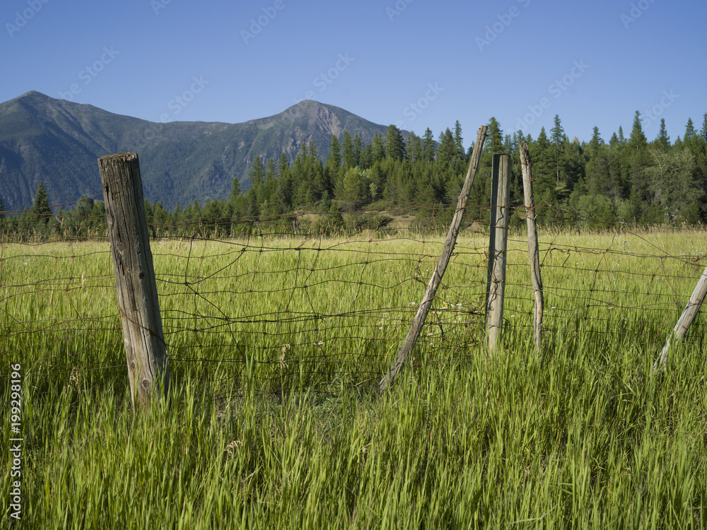Fence in field with mountain in the background, British Columbia Highway 93, British Columbia, Canada
