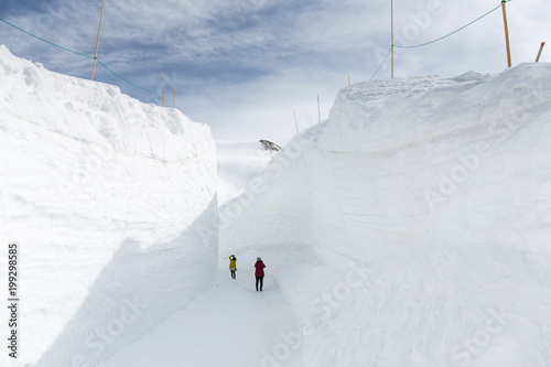 Snow wall at the Tateyama Kurobe Alpine Route