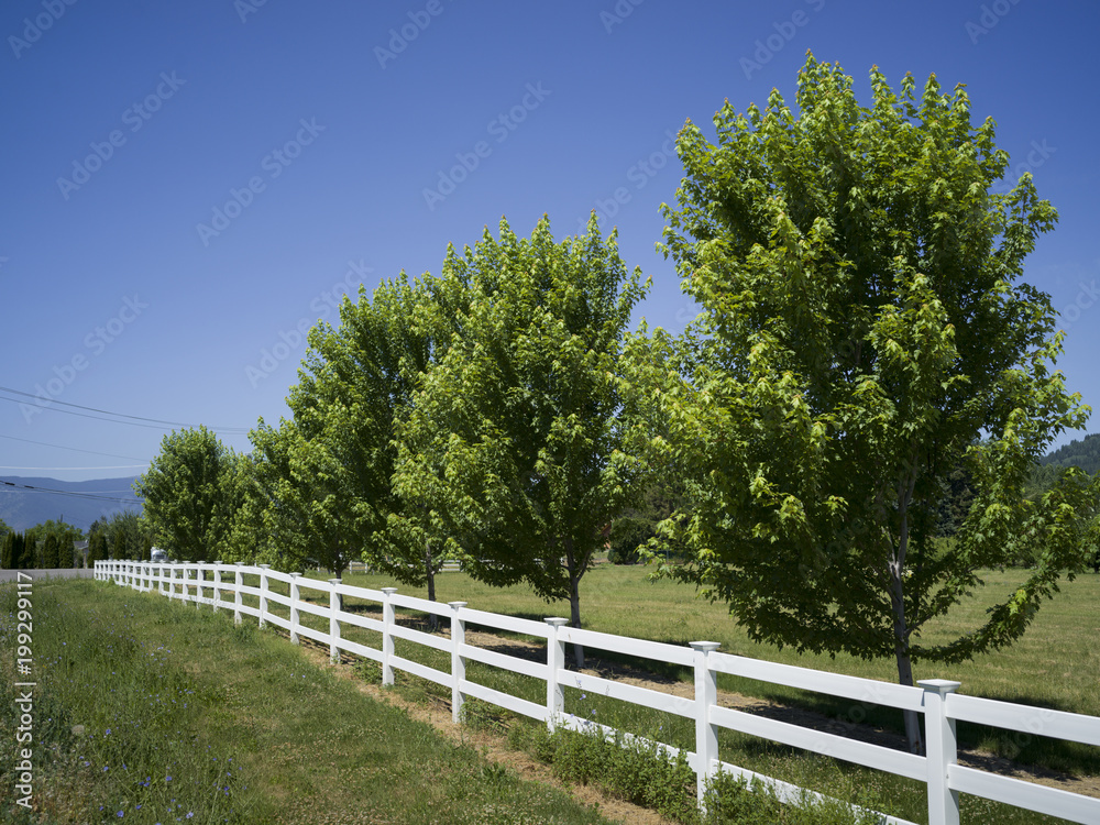Wooden fence in field, Yahk, British Columbia, Canada