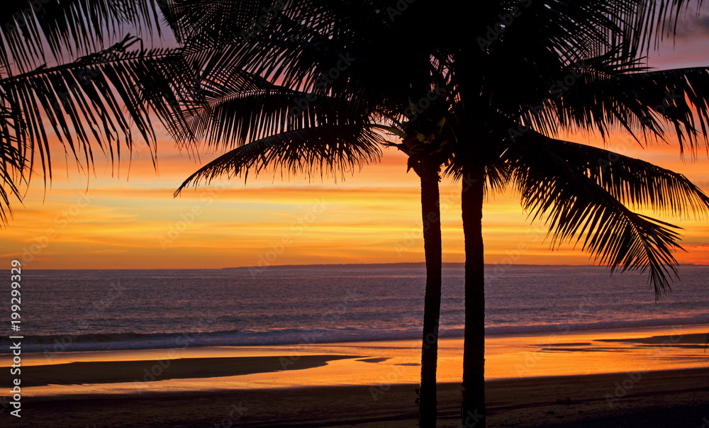 Orange sunset background with palm trees