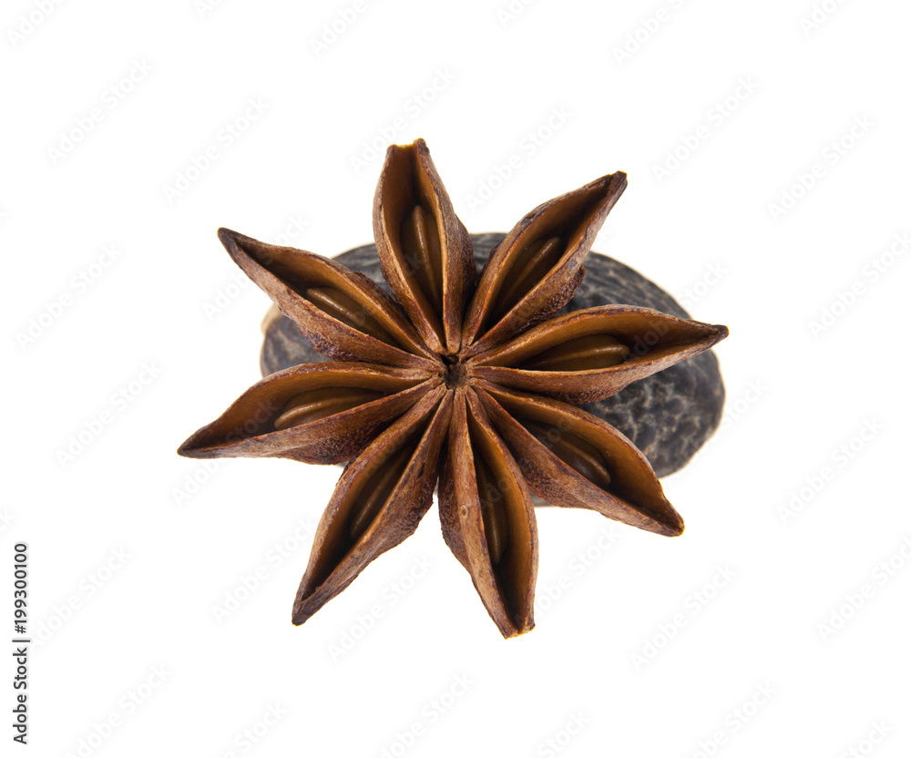 anise and nutmeg isolated on white background anise and nutmeg isolated on white background