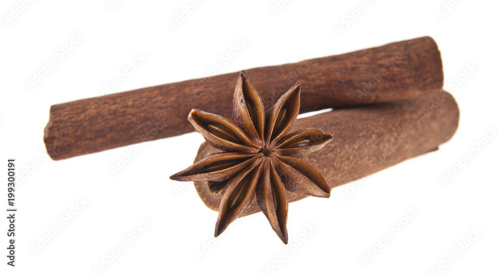 anise and cinnamon isolated on white background