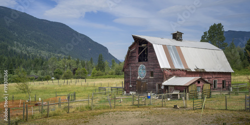Barn in field, British Columbia, Canada