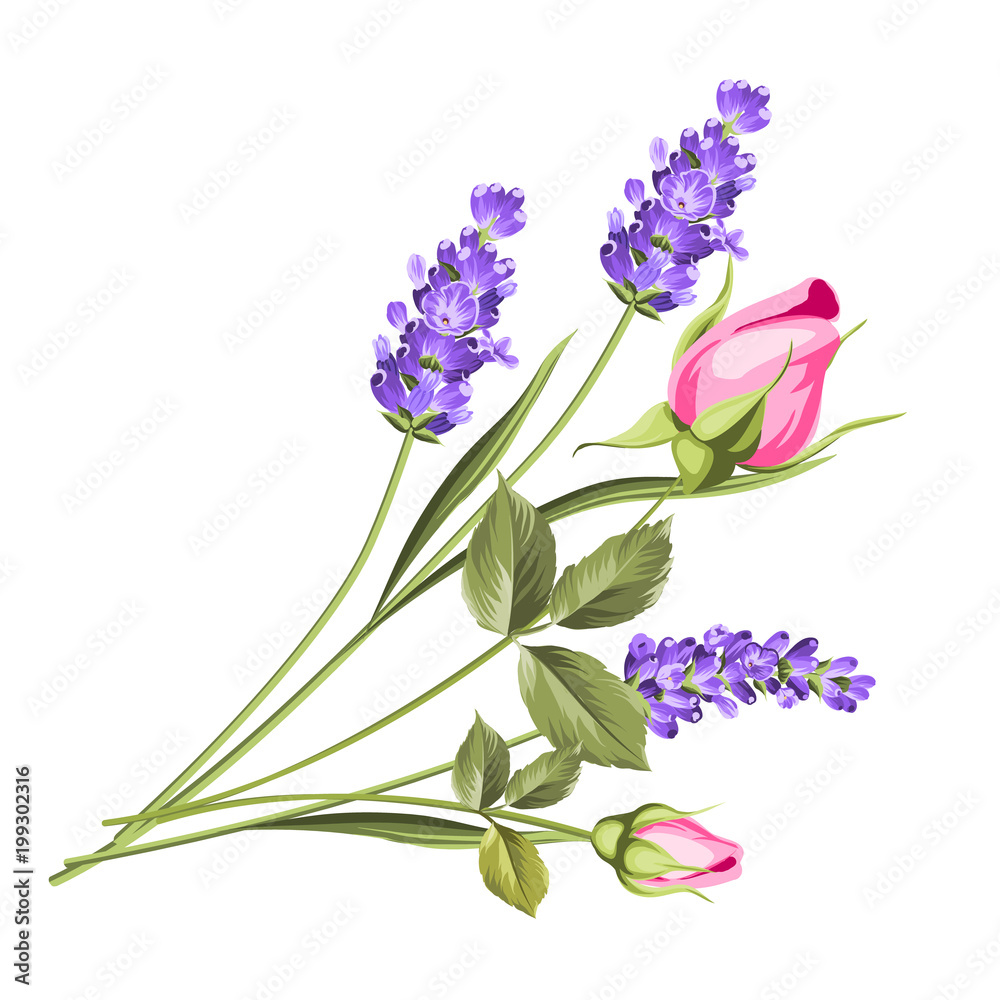Wedding flowers bouquet of color bud garland. Label with rose and lavender  flowers. Vector illustration. Stock Vector | Adobe Stock