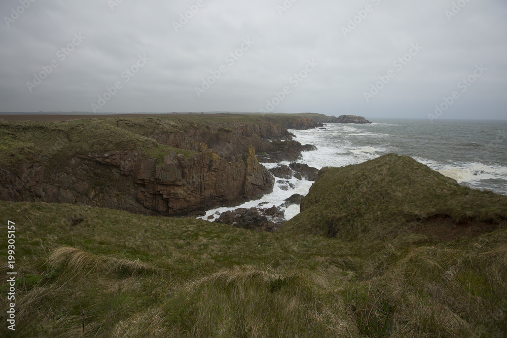 Scottish Coast 