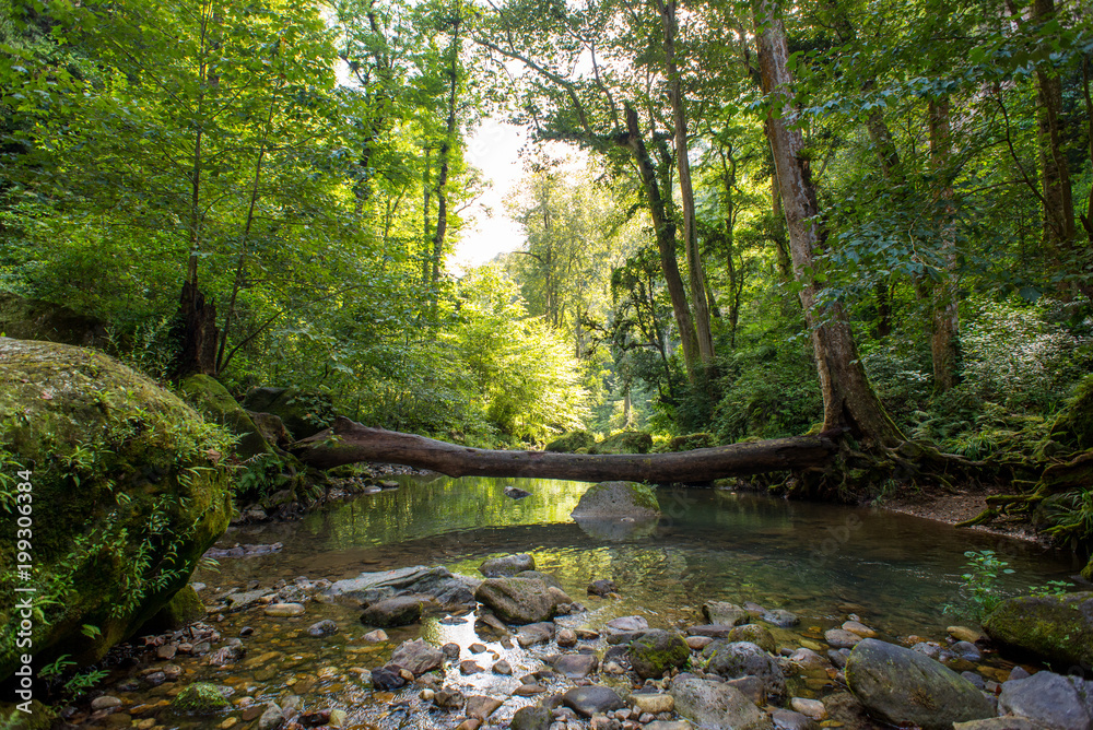Naklejka premium Zacapoaxtla-Cuetzalan