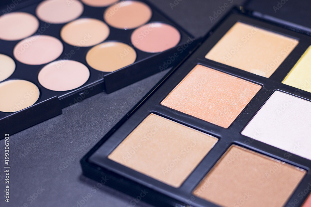 Professional make up palette on black background Professional make up palette on black background