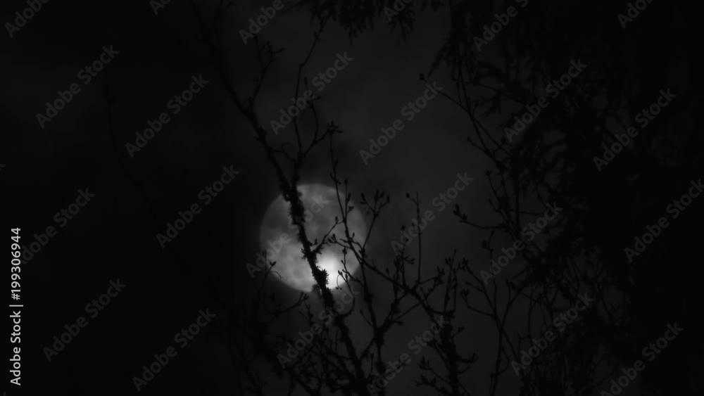 Real time black and white full moon rising with clouds passing and tree in foreground.