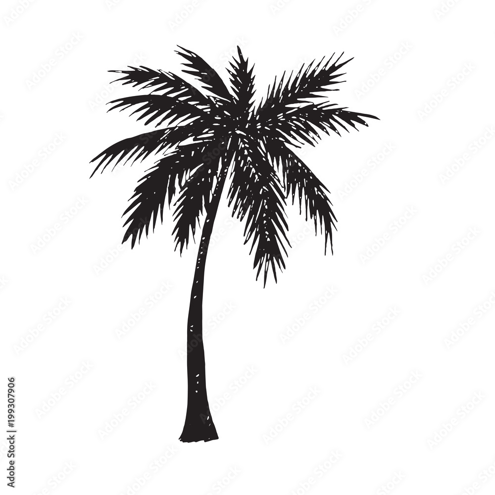 Fototapeta premium Palm tree silhouette, hand drawn doodle, sketch in pop art style, black and white vector illustration