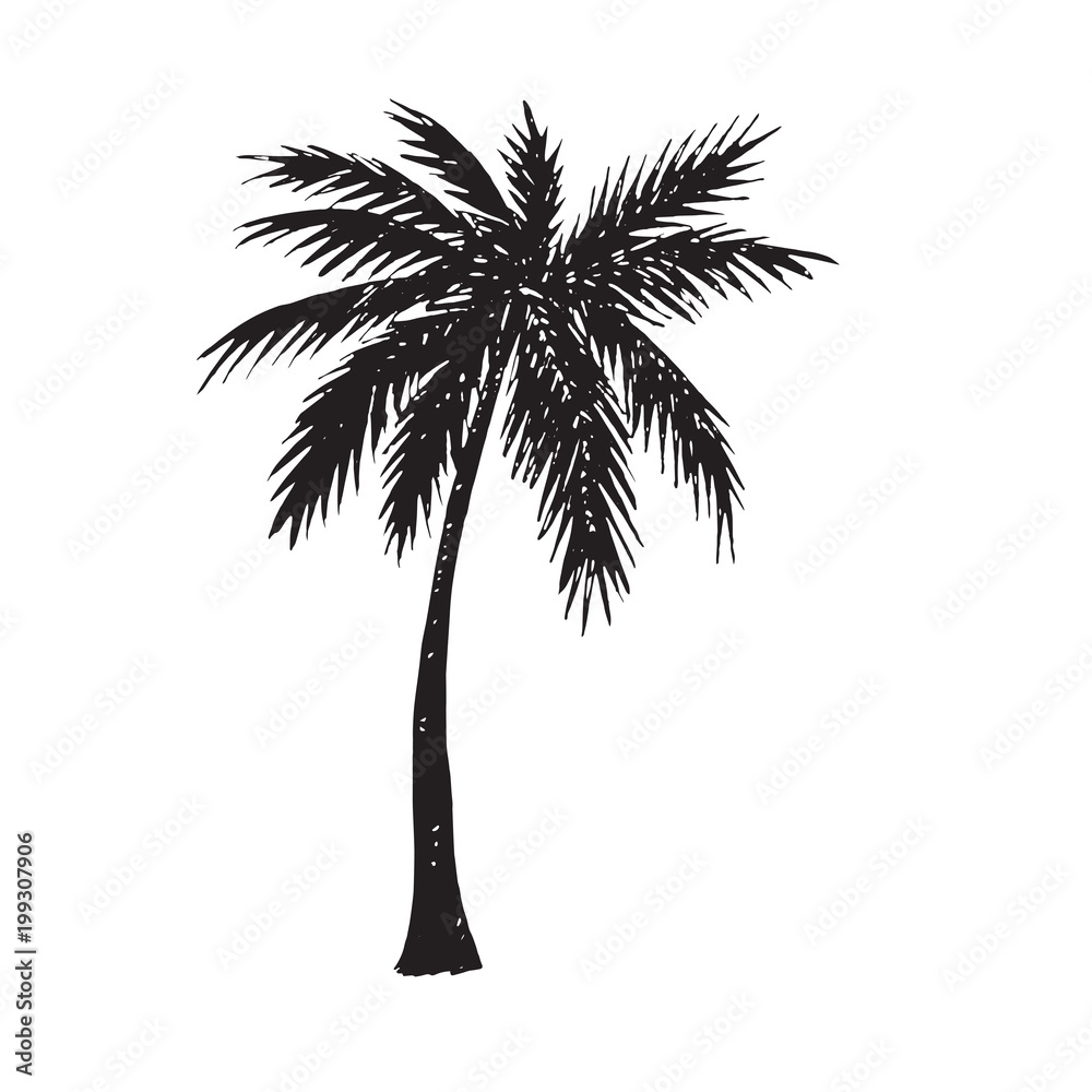 Naklejka premium Palm tree silhouette, hand drawn doodle, sketch in pop art style, black and white vector illustration