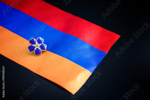 Forget-me-not- symbol of centennial of Armenian Genocide in Ottoman Empire- and flag of Armenia. Day of Remembrance of Victims of announced on April 24