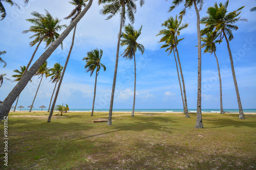 Beautiful scenery of tropical beach with blue sky background.