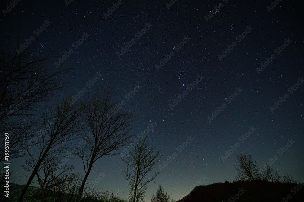 Fototapeta premium オリオン座