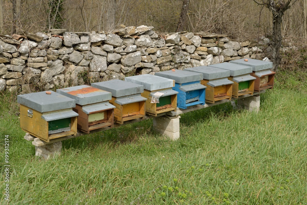 beehives alveari beehives alveari