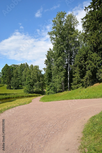 River in the Park in Pavlovsk