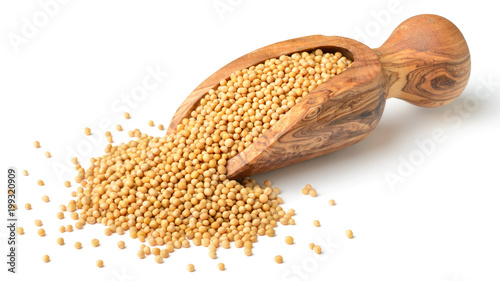 Fotografia yellow mustard seeds in the wooden scoop, isolated on white