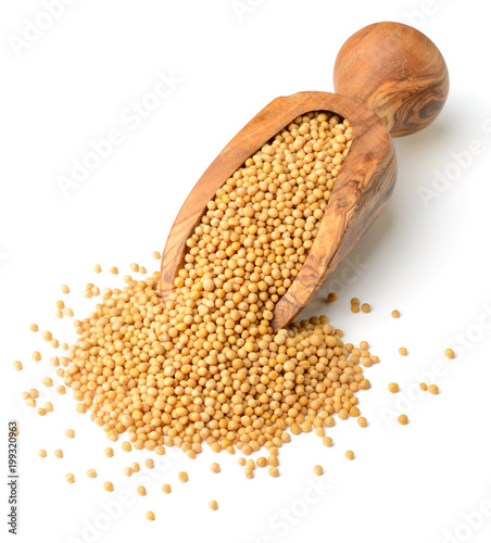 yellow mustard seeds in the wooden scoop, isolated on white