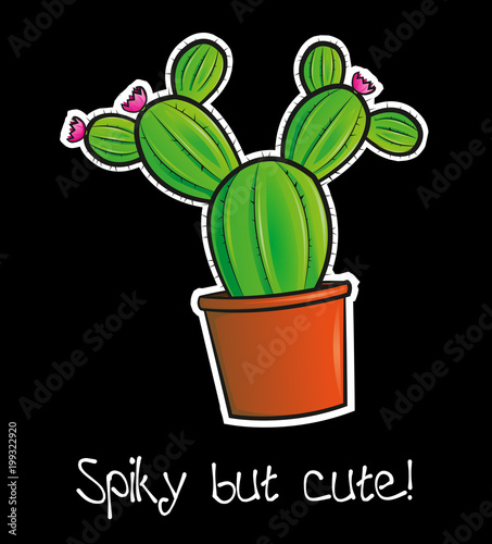 Spiky but cute! Kaktus