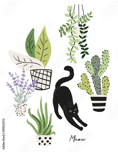 Black cat and plants in the pots. Morning stretch. Cute pet at home. Vector illustration. Design for the poster, tee shirt.