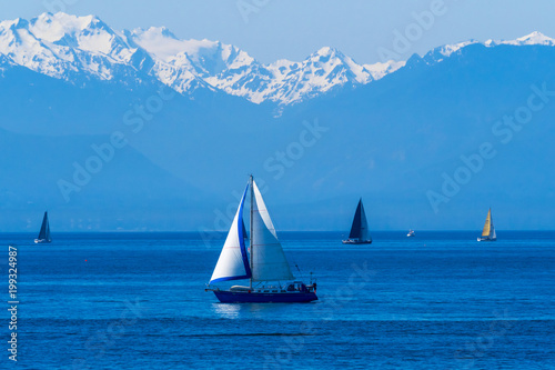 Luxury yachts with the view of Olympic Moutains, Boat in sailing regatta, British Columbia, Canada