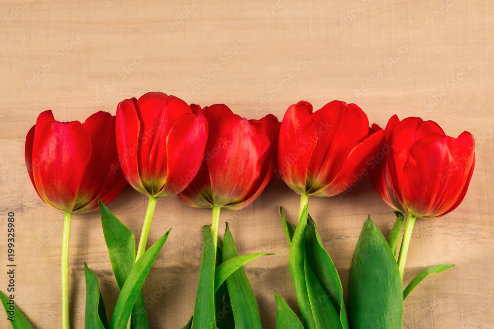 Five red tulips on a wooden table