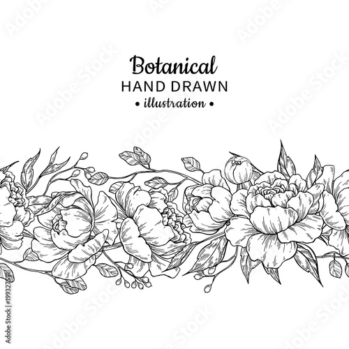 Floral seamless vintage border. Vector peony and roses botanical