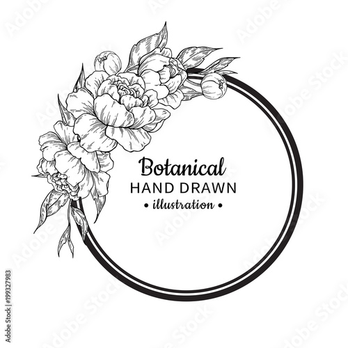 Flower vintage vector frame drawing. Peony, rose, leaves and ber