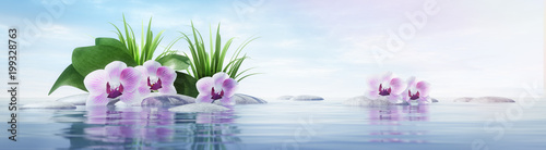 Orchideen mit Steinen im See - sonnige Stimmung