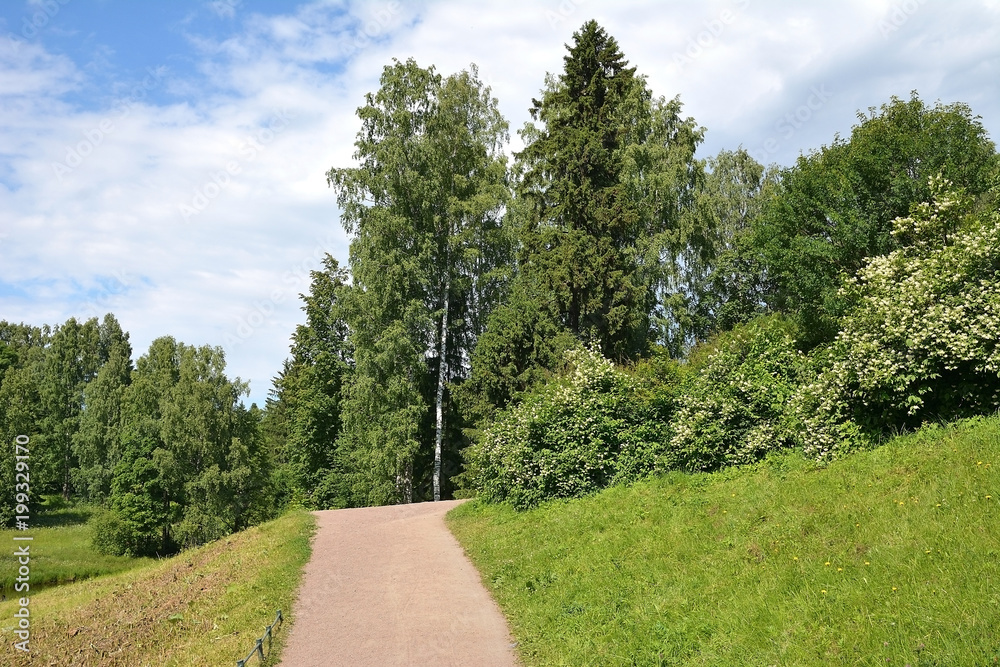 Sandy road in the Park in Pavlovsk