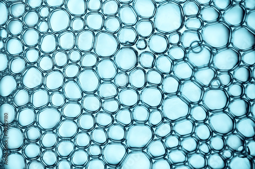 Macro close up of soap bubbles look like scientific image of cell and cell membrane