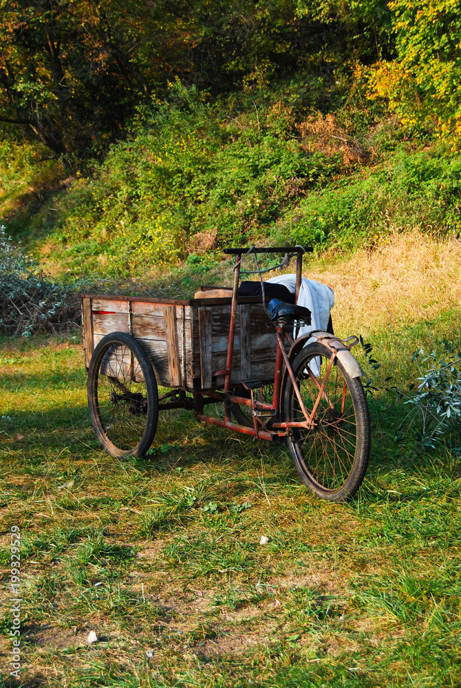 Old bicycle with three wheels used to transport freshly picked olives
