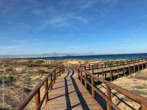 Fototapeta Naklejka Na Ścianę i Meble -  perspective view of some wooden walkways that form a path to the beach. In the distance two people come walking down the catwalks. In the distance, two perch rods are also almost imperceptible.